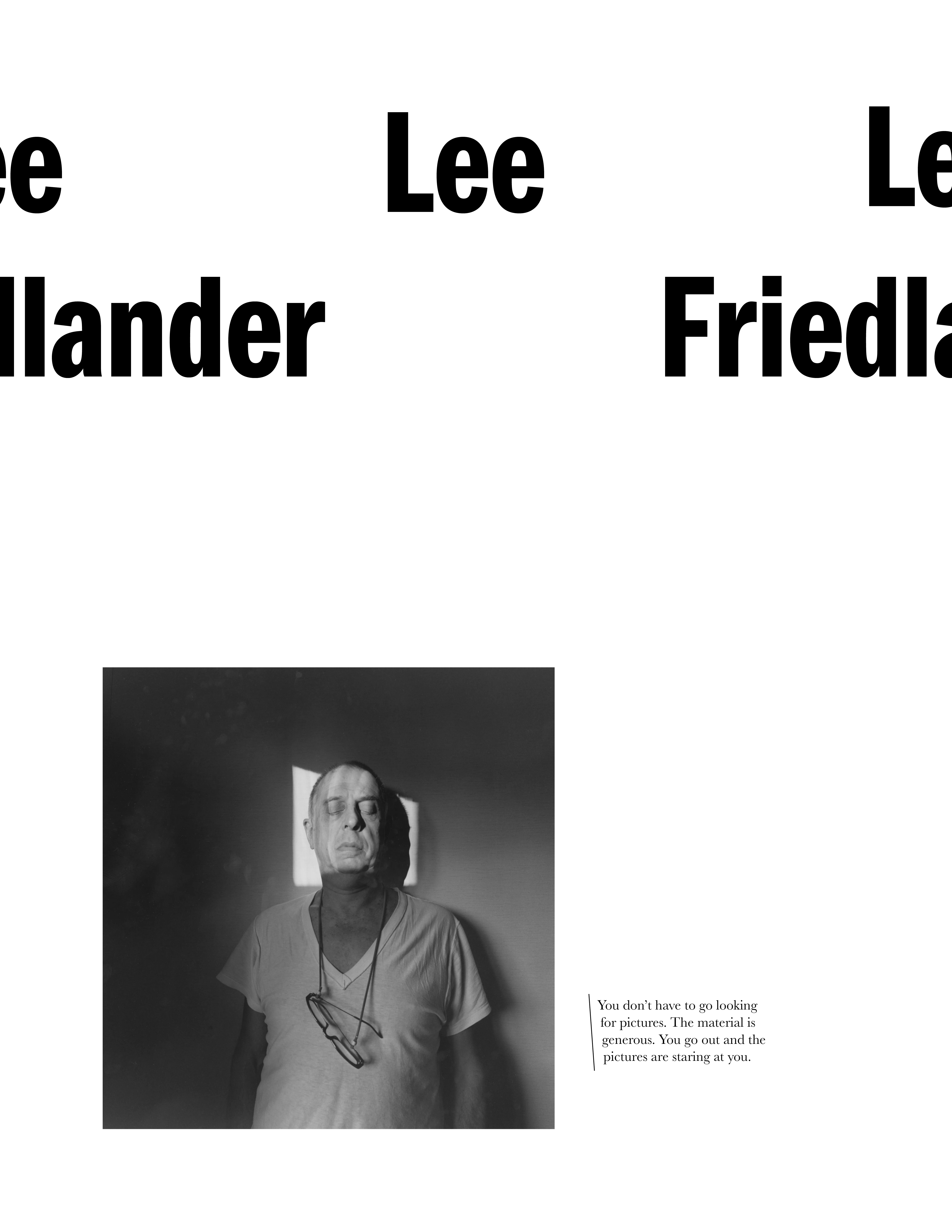 Lee Friedlander Brochure